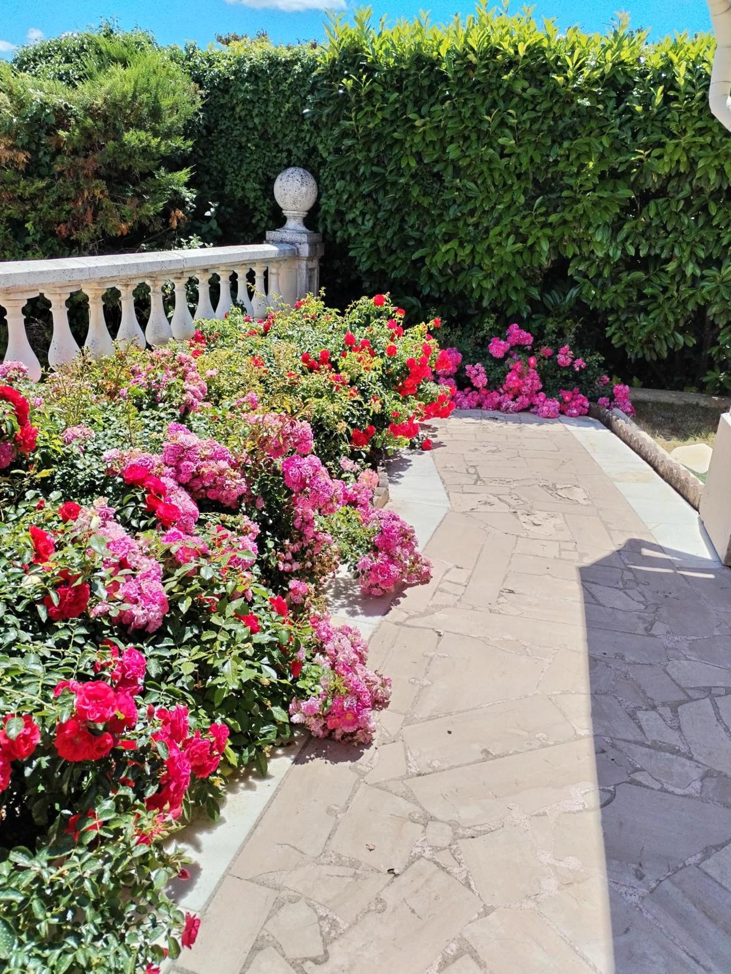 דראגיניאן La Villa Des Ames Liees מראה חיצוני תמונה